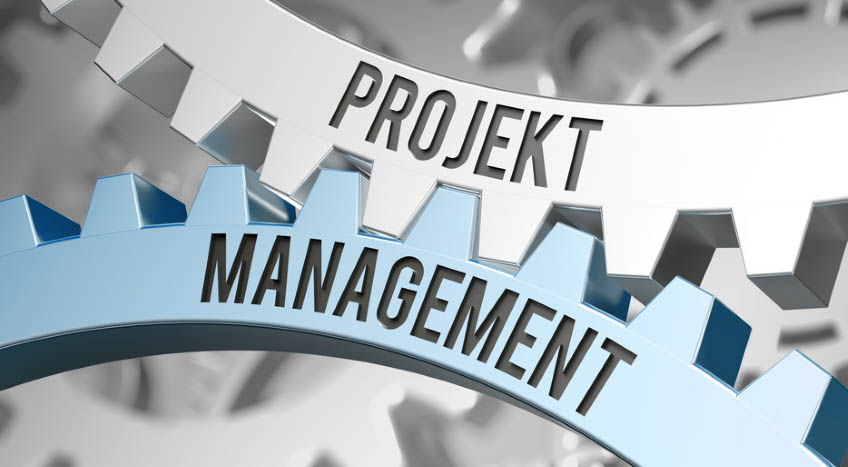 Projekt management